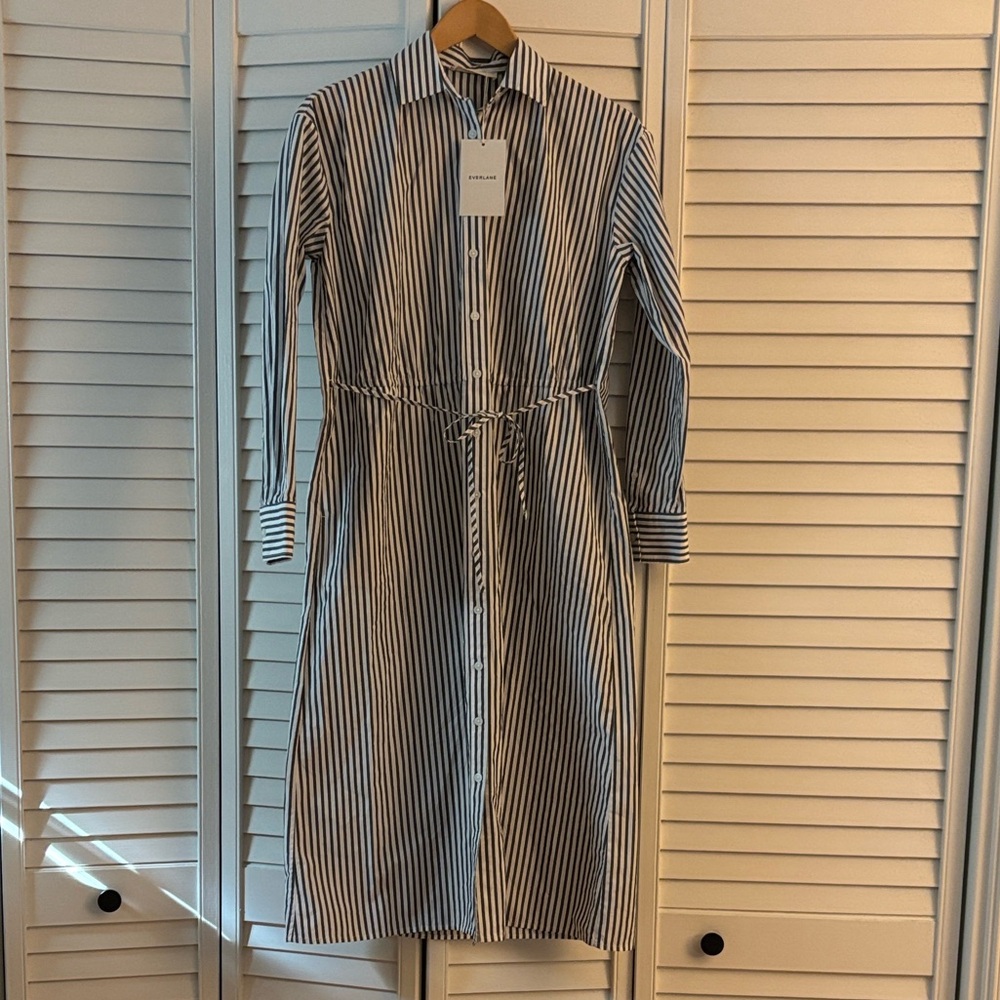 Everlane Supima Cotton Midi Collared Shirt Dress - Picture 2 of 4